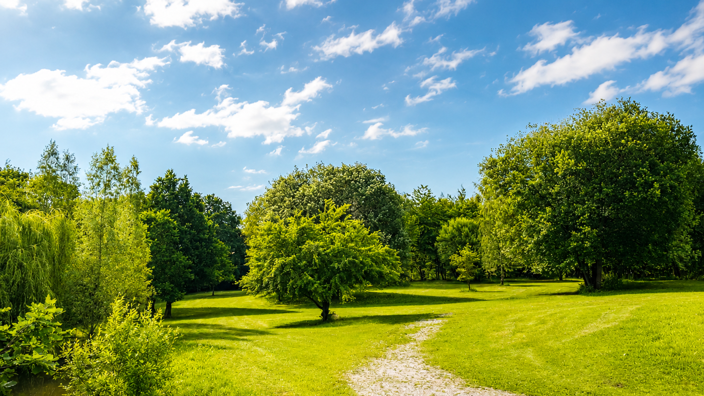 Het groene terrein van Castra Holidays
